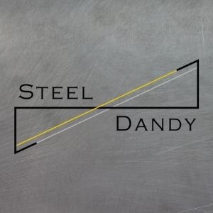 logo STEEL DANDY